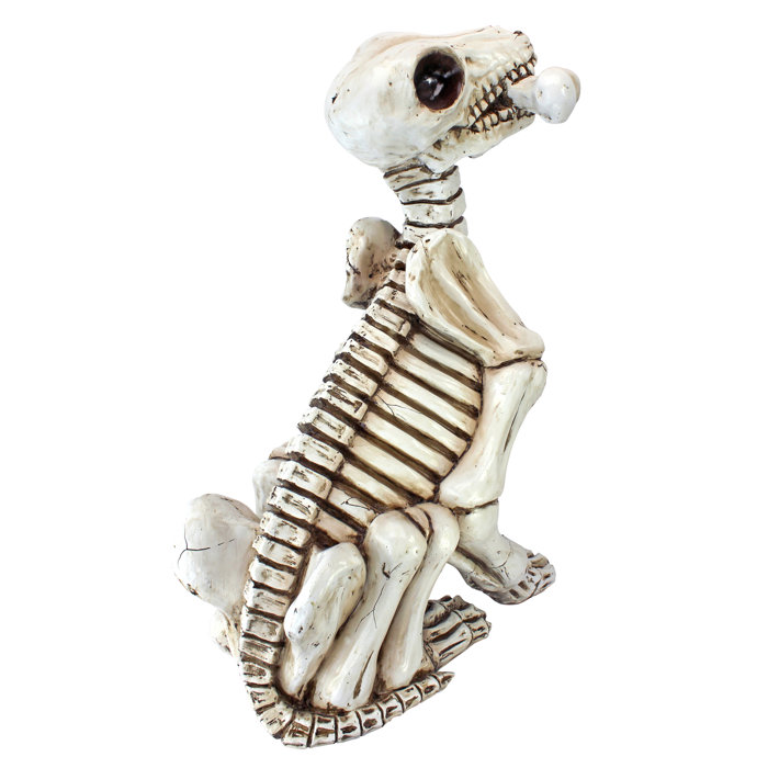 Design Toscano Fetch the Skeleton Dog Statue & Reviews Wayfair